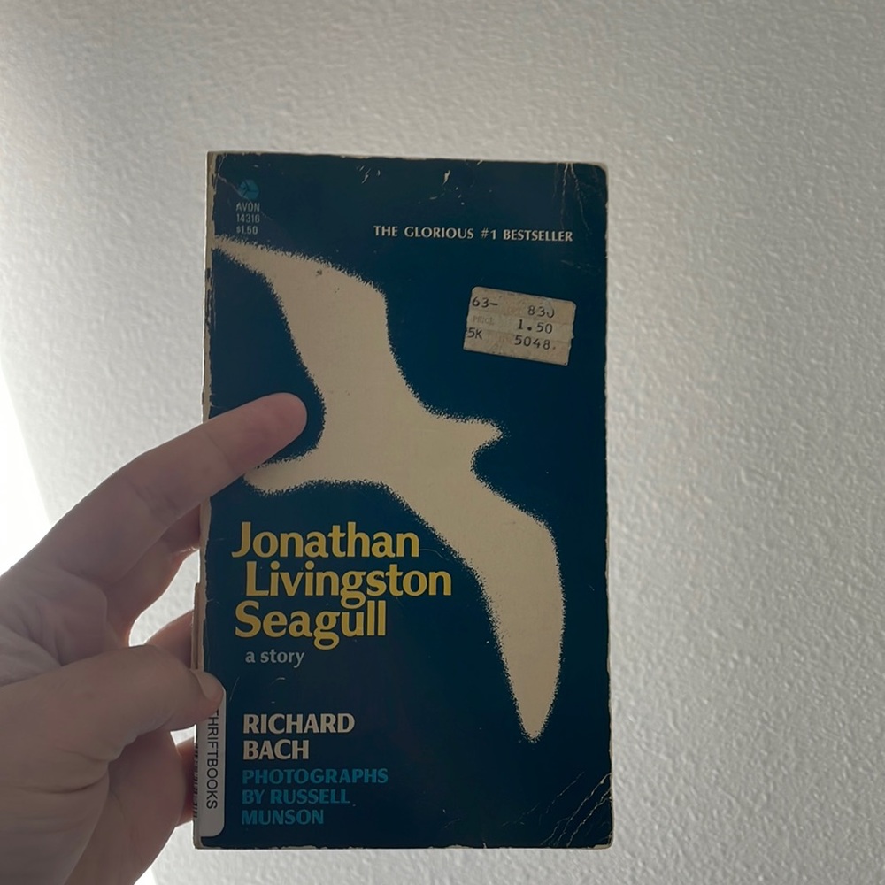 Jonathan Livingston seagull book